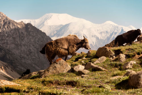 Koshkol Lakes, Kyrgyzstan