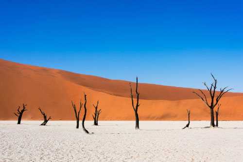 Deadvlei, Namibia