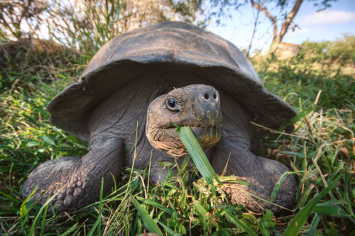 Galapagos, Ecuador
