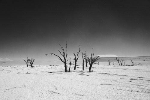 Deadvlei, Namibia