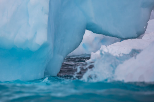 Cierva Cove, Antarctica