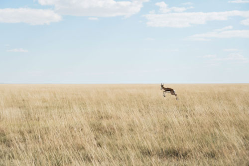 Etosha, Namibia