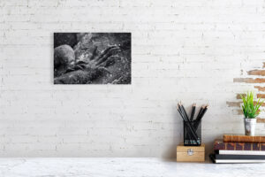 i won’t let you go away this time - 30cm x 20cm