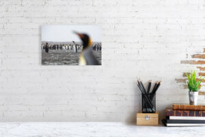 looks are made from far off places - 30cm x 20cm