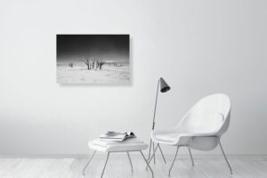 the trees have turned black - 80cm x 53cm