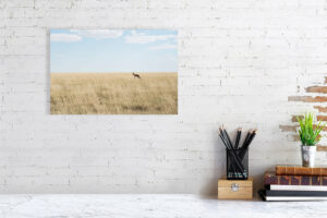 wild and free - 40cm x 27cm