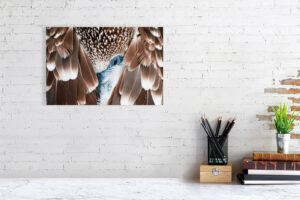 sleep with one eye open - 40cm x 27cm