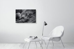 i won’t let you go away this time - 80cm x 53cm