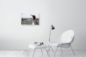 looks are made from far off places - 60cm x 40cm