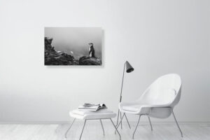 if i’m stuck out here alone - 80cm x 53cm