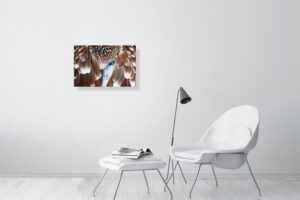 sleep with one eye open - 60cm x 40cm
