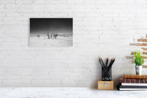 the trees have turned black - 30cm x 20cm