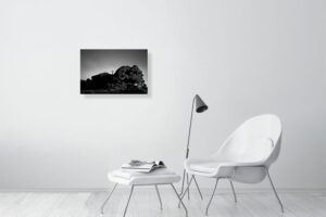 though i’m dead you know - 60cm x 40cm