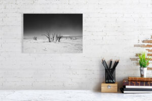 the trees have turned black - 40cm x 27cm