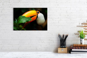 toucan - 40cm x 27cm