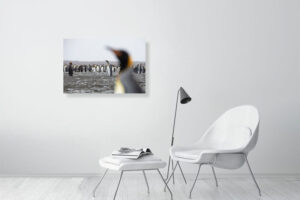 looks are made from far off places - 80cm x 53cm