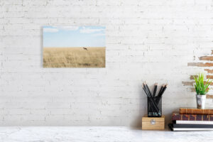 wild and free - 30cm x 20cm