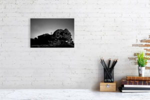 though i’m dead you know - 30cm x 20cm