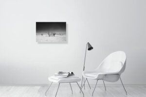 the trees have turned black - 60cm x 40cm