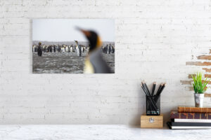 looks are made from far off places - 40cm x 27cm