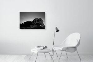 though i’m dead you know - 80cm x 53cm