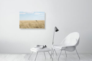 wild and free - 80cm x 53cm