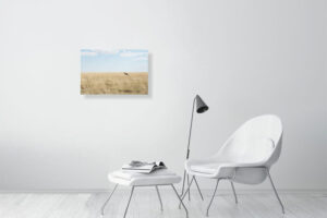 wild and free - 60cm x 40cm