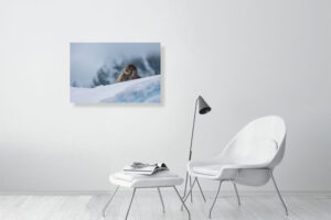 suspended in this bliss - 80cm x 53cm