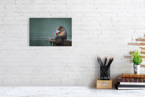 it's a hollow play - 30cm x 20cm