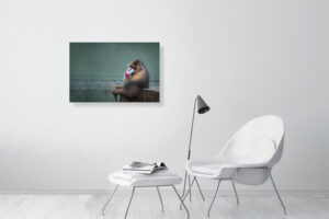 it's a hollow play - 80cm x 53cm