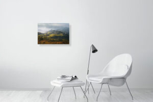 painter in your pocket - 60cm x 40cm