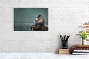 it's a hollow play - 40cm x 27cm