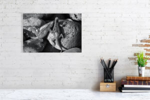 i’ve got your back - 40cm x 27cm