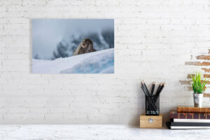 suspended in this bliss - 40cm x 27cm