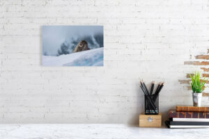 suspended in this bliss - 30cm x 20cm