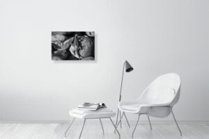 i’ve got your back - 60cm x 40cm