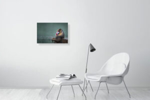 it's a hollow play - 60cm x 40cm