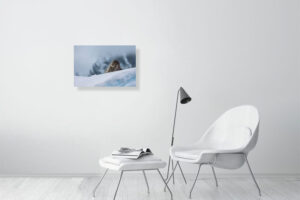 suspended in this bliss - 60cm x 40cm