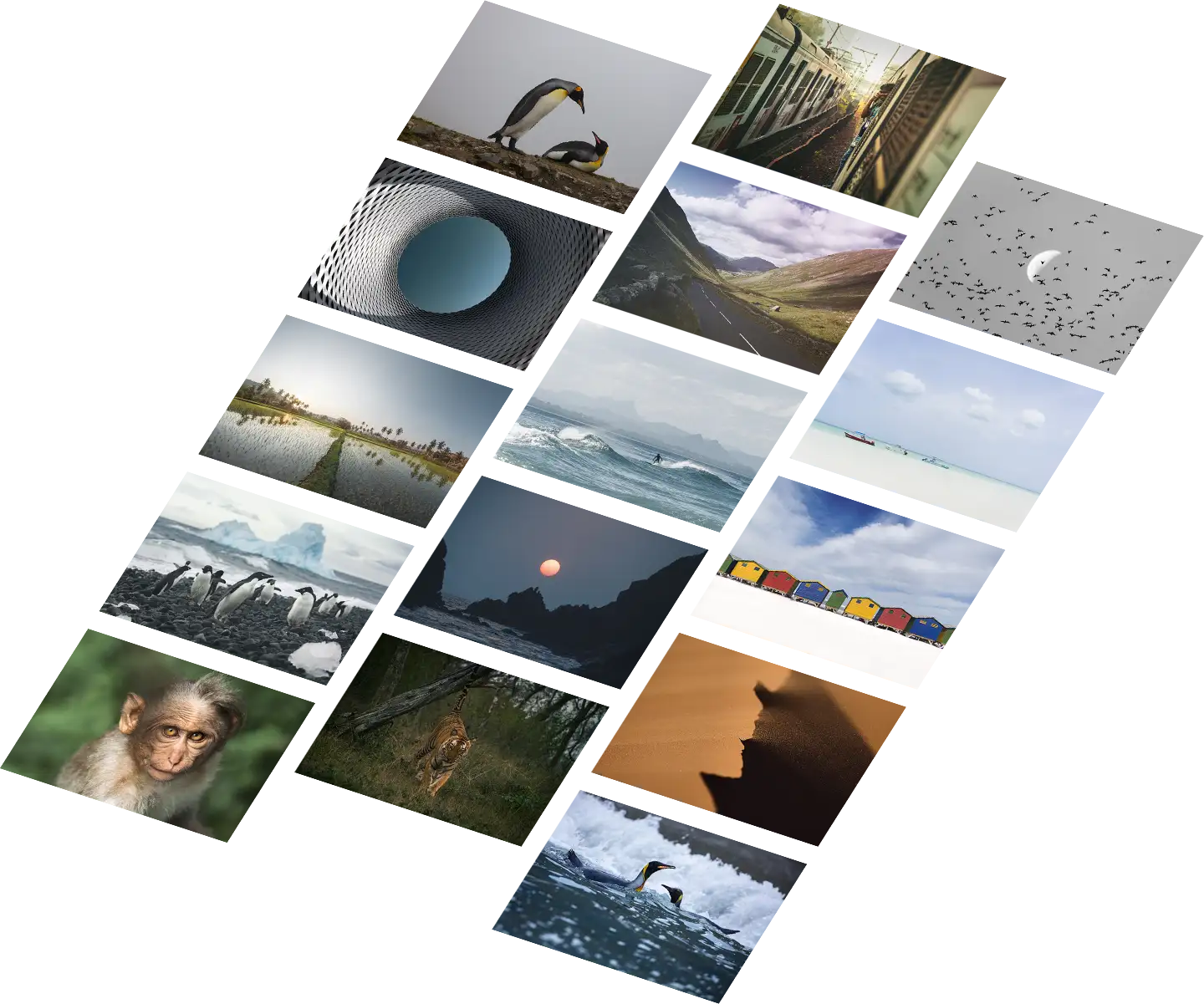 Extra photos grid